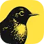 Bïrch logo