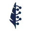 Coauthor logo