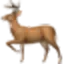 DeerFlow logo