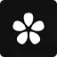 Orchid logo