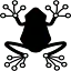 Rainfrog logo