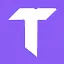 Termo AI logo