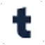 Type.ai logo