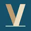 VisualizeAI logo