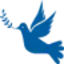 BiblePics logo