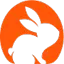 CodeRabbit logo