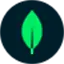 MongoDB logo
