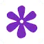 Bloom logo