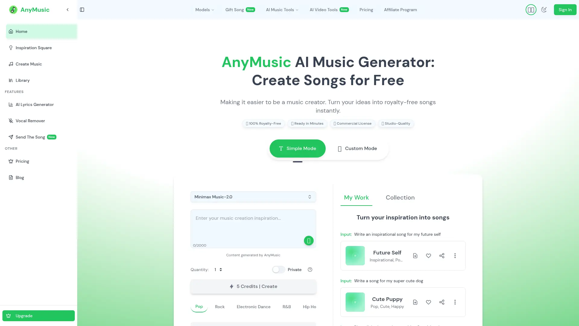AnyMusic screenshot