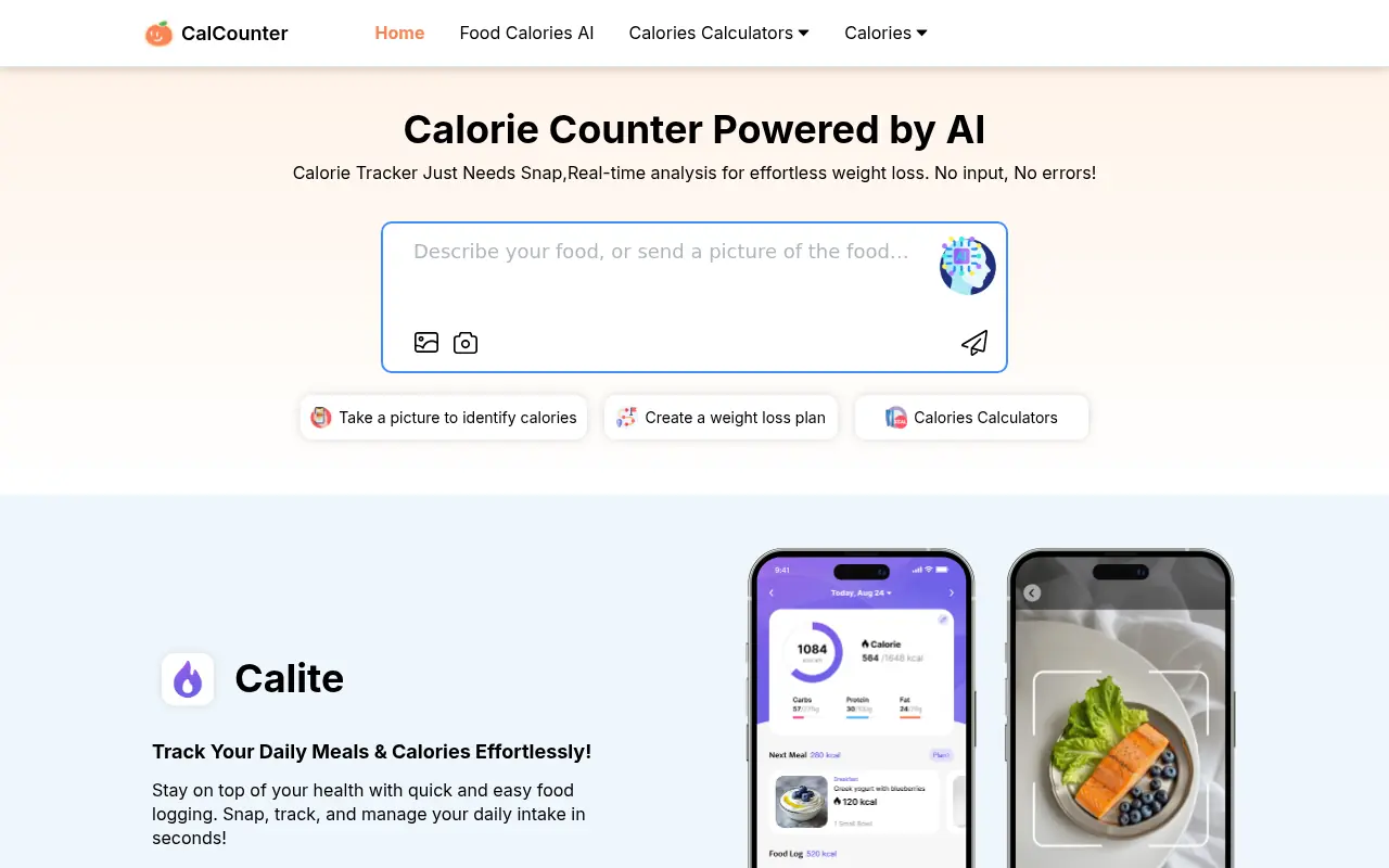 CalCounter screenshot