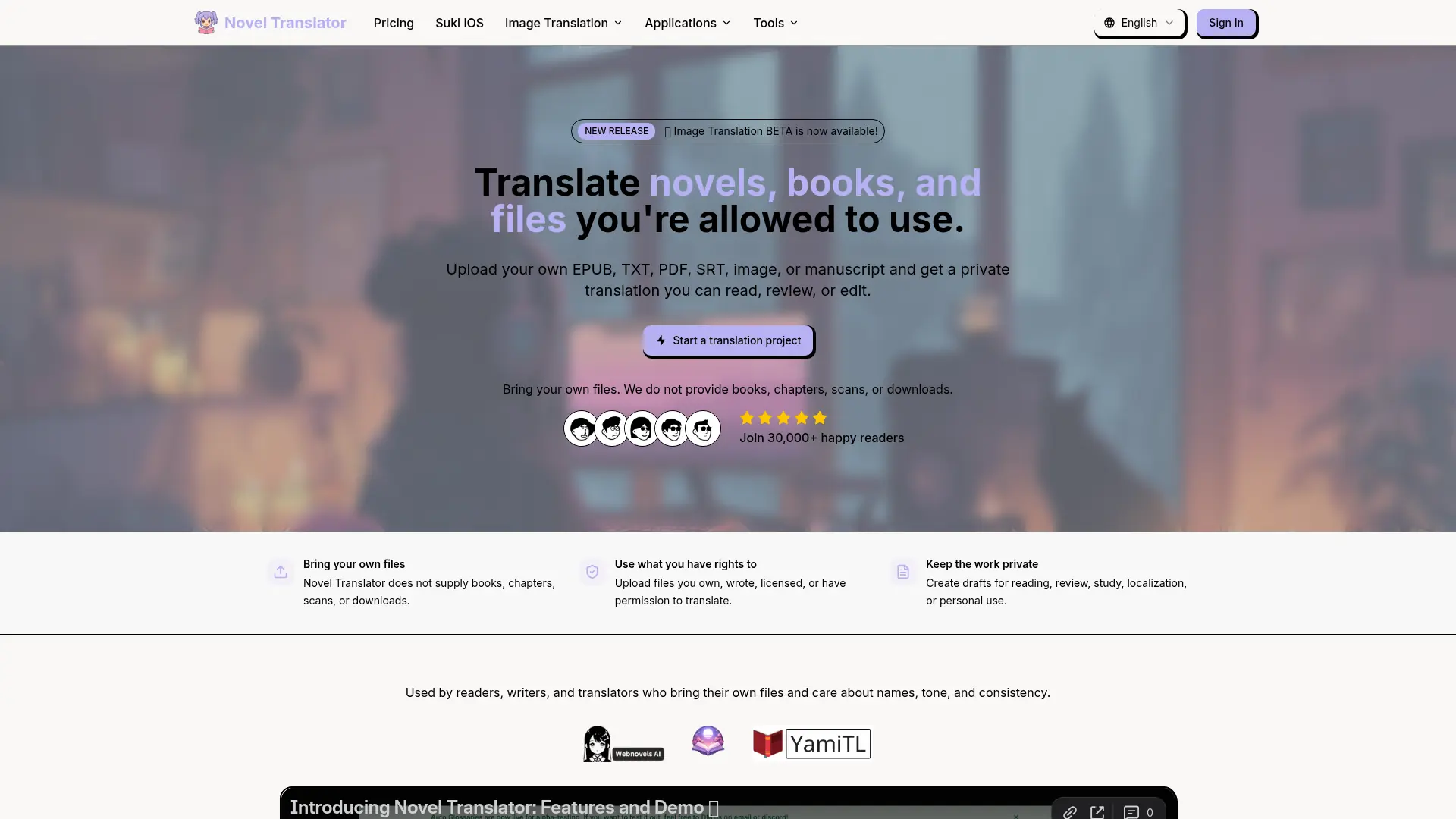Novel Translator screenshot
