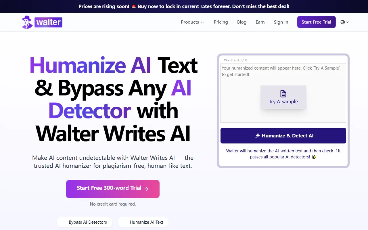 Walter Writes AI screenshot