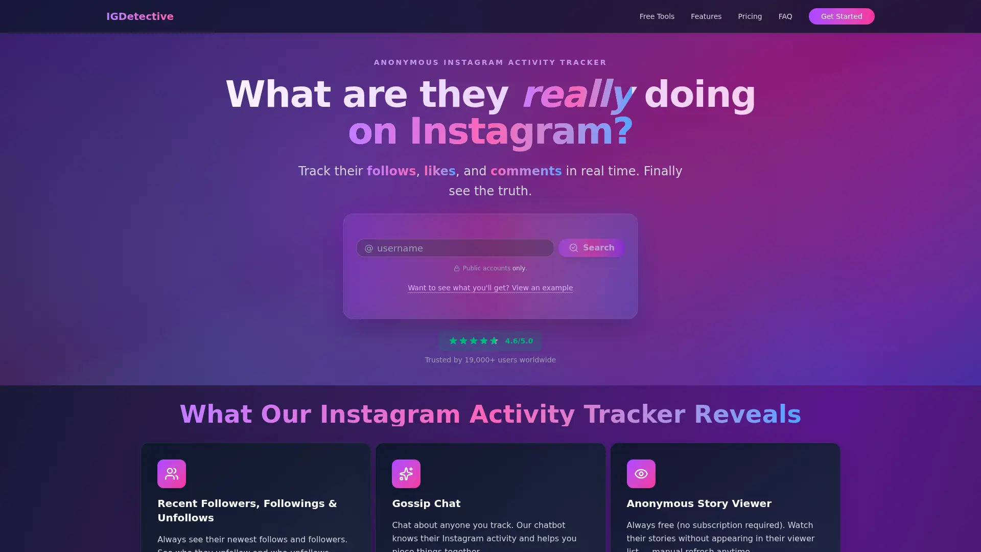 IGDetective screenshot