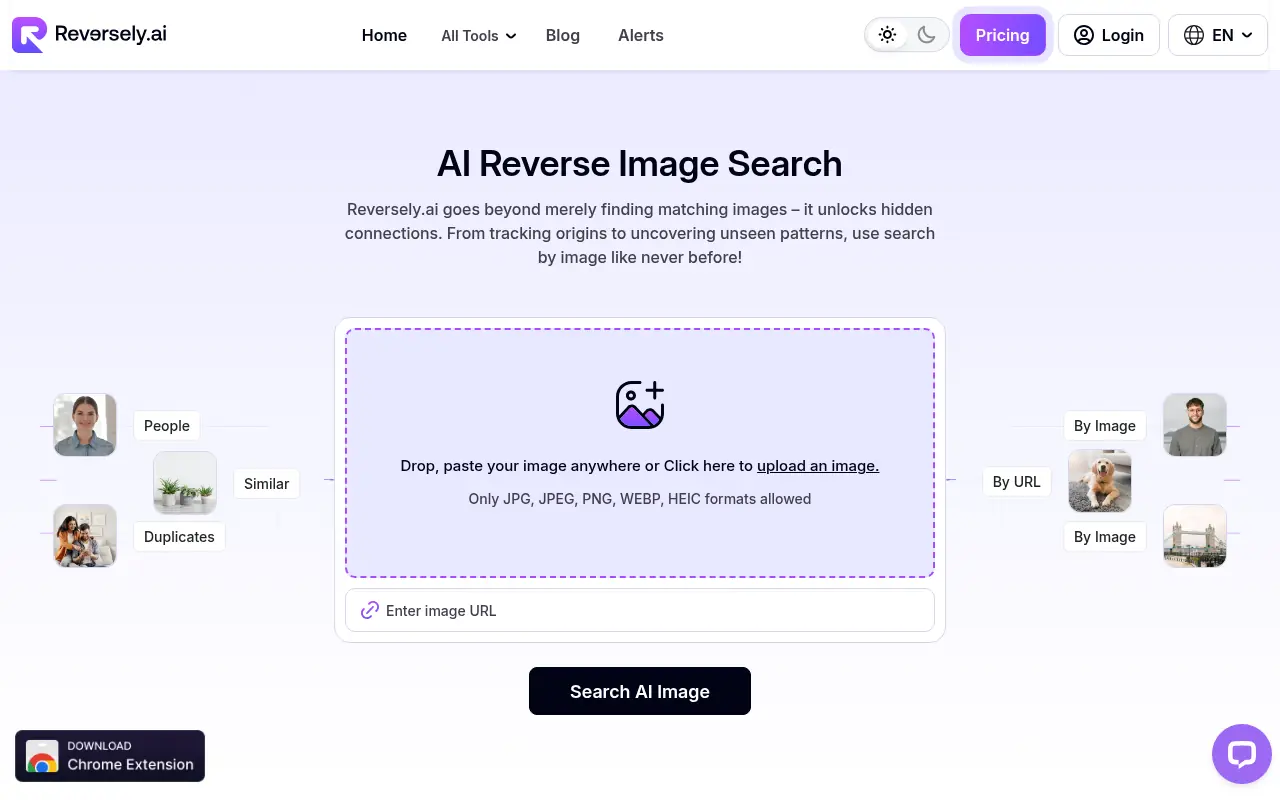 Reversely.ai screenshot