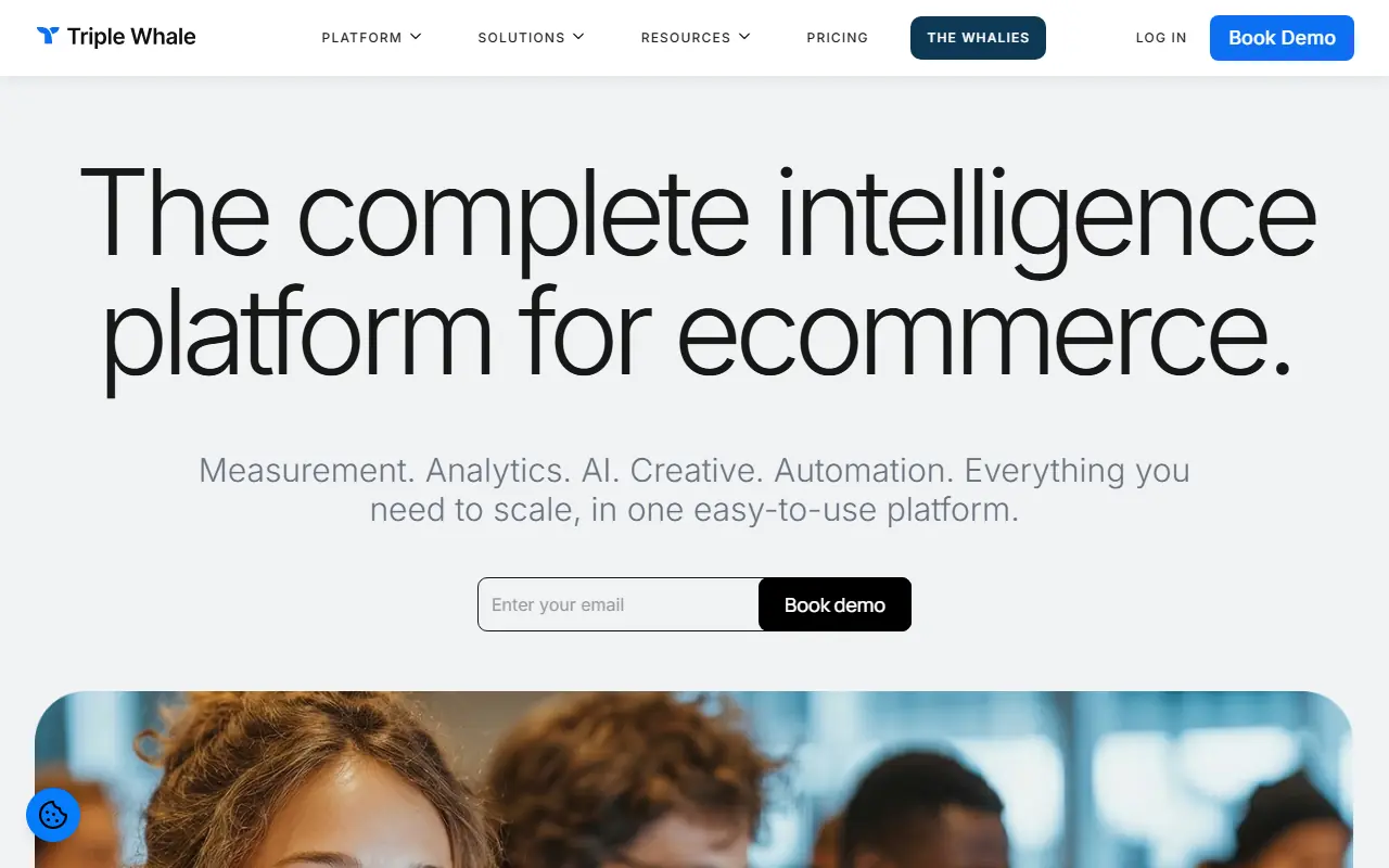 Triple Whale screenshot